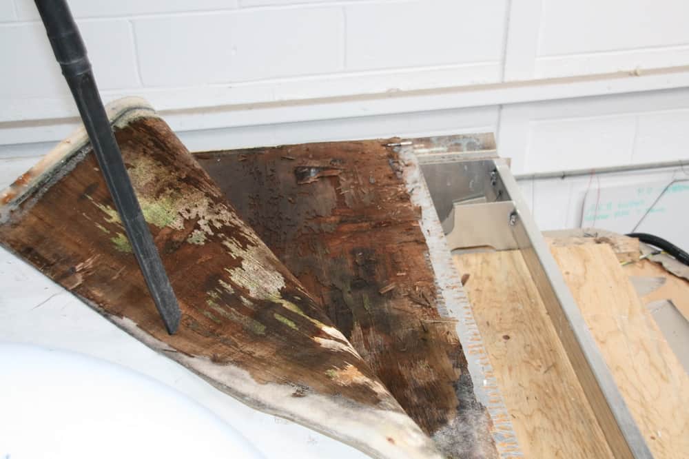 Roof leaks are relatively common and if not addressed then this is what can happen.  Image 4135